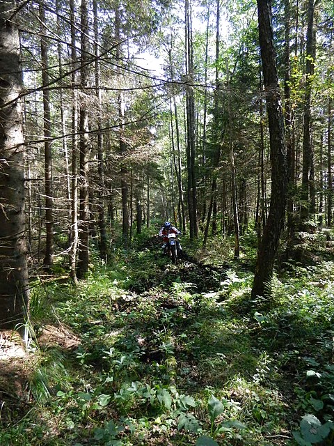 Enduro_ralis_Pabrade_2014_1008.jpg